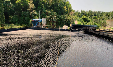 Floating-Oil-removal-Separation-before